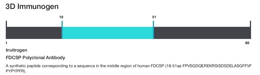 FDCSP Polyclonal Antibody