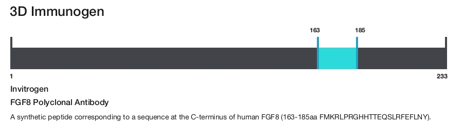 FGF8 Polyclonal Antibody