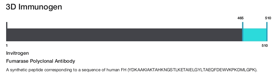 Fumarase Polyclonal Antibody