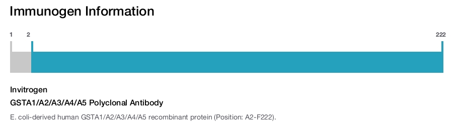 GSTA1/A2/A3/A4/A5 Polyclonal Antibody