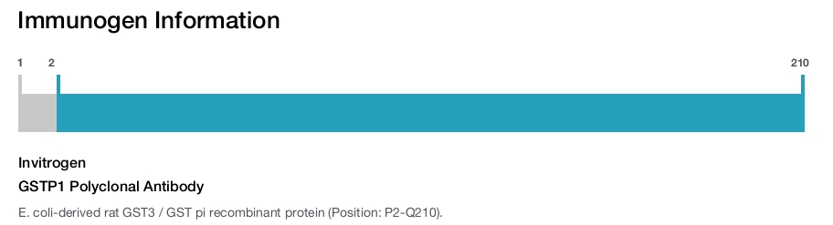 GSTP1 Polyclonal Antibody