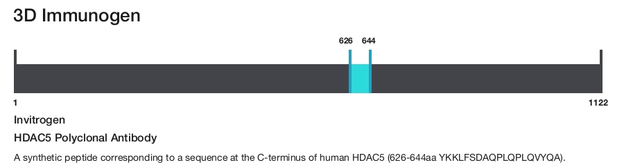 HDAC5 Polyclonal Antibody