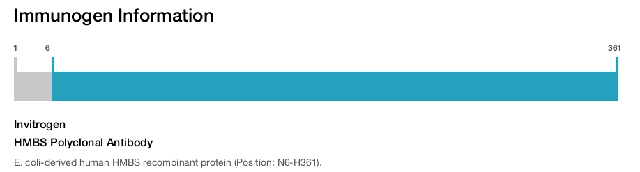 HMBS Polyclonal Antibody