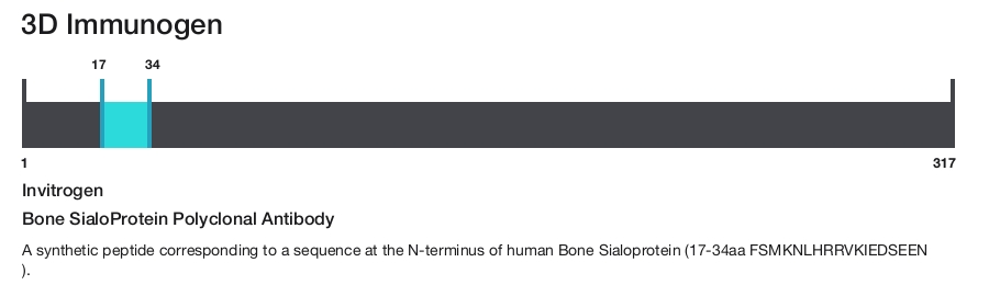 Bone SialoProtein Polyclonal Antibody