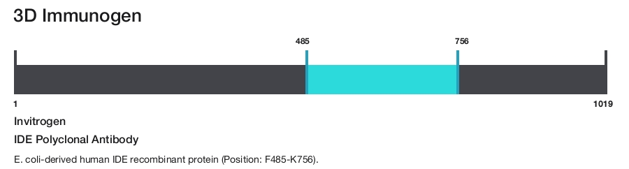 IDE Polyclonal Antibody