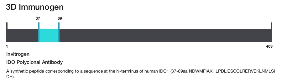 IDO Polyclonal Antibody