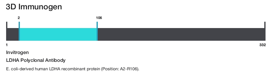LDHA Polyclonal Antibody