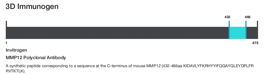 MMP12 Polyclonal Antibody