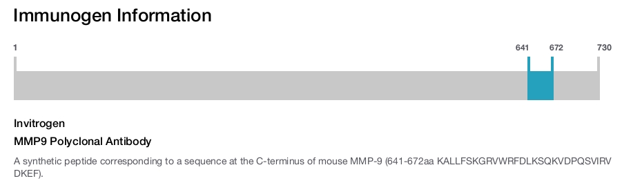 MMP9 Polyclonal Antibody