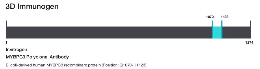 MYBPC3 Polyclonal Antibody