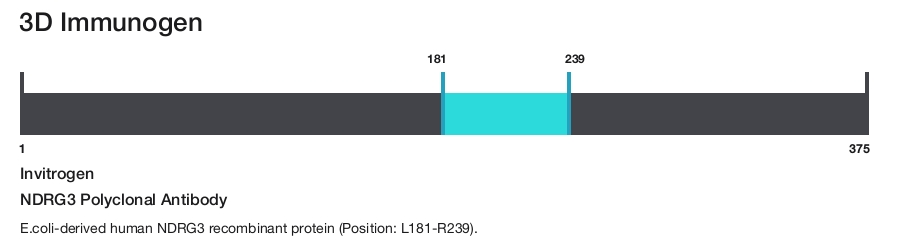 NDRG3 Polyclonal Antibody