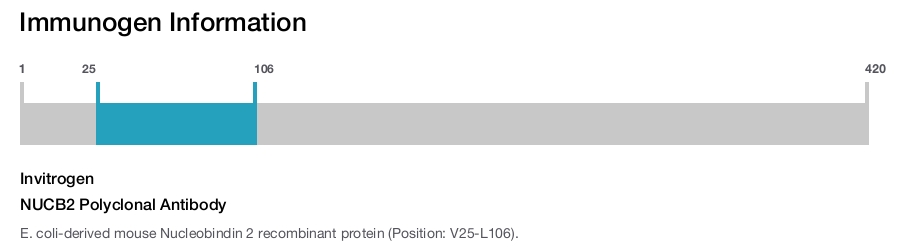 NUCB2 Polyclonal Antibody