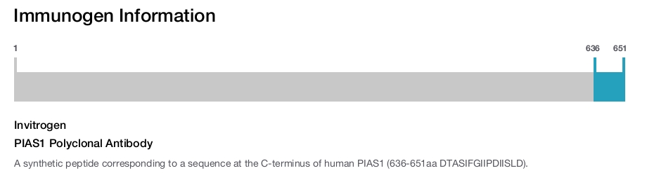 PIAS1 Polyclonal Antibody