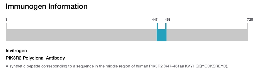 PIK3R2 Polyclonal Antibody