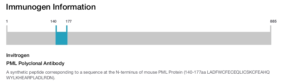 PML Polyclonal Antibody