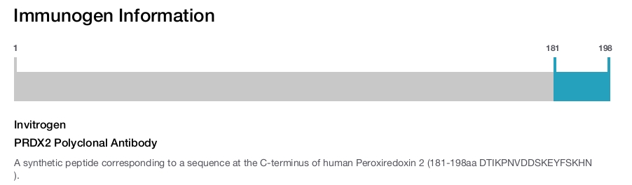 PRDX2 Polyclonal Antibody