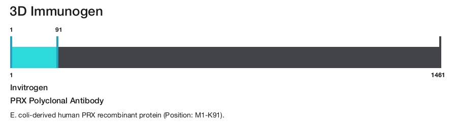 PRX Polyclonal Antibody