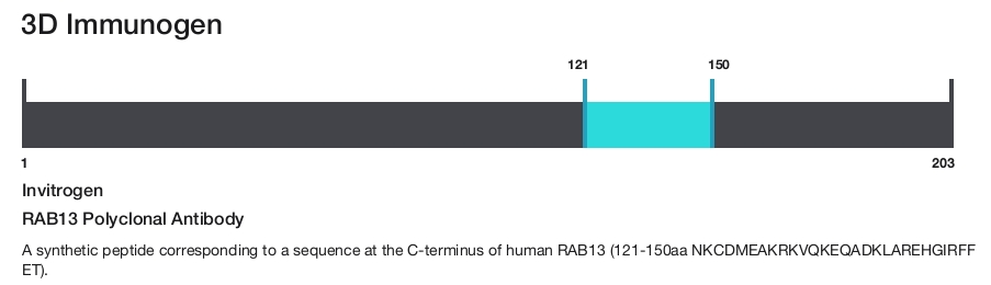 RAB13 Polyclonal Antibody