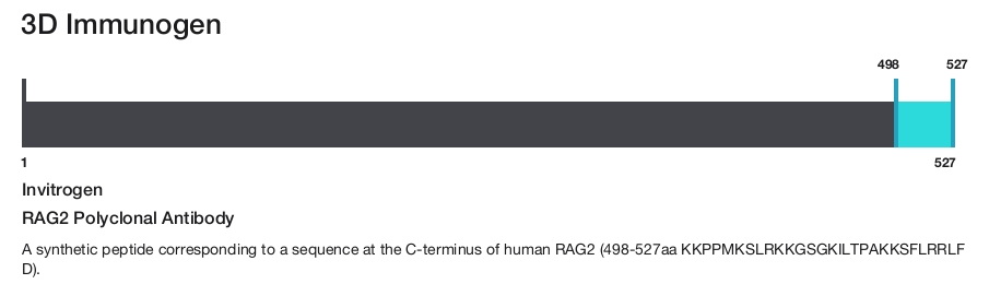 RAG2 Polyclonal Antibody