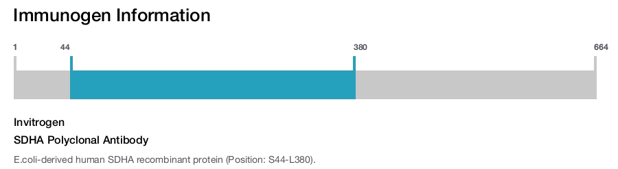 SDHA Polyclonal Antibody