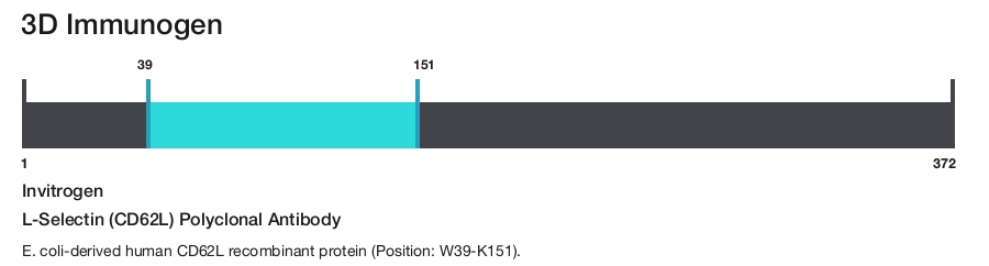 L-Selectin (CD62L) Polyclonal Antibody