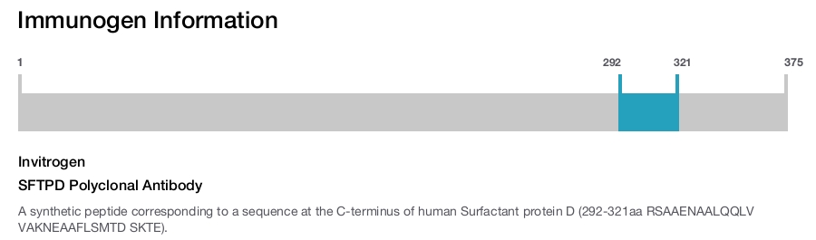 SFTPD Polyclonal Antibody