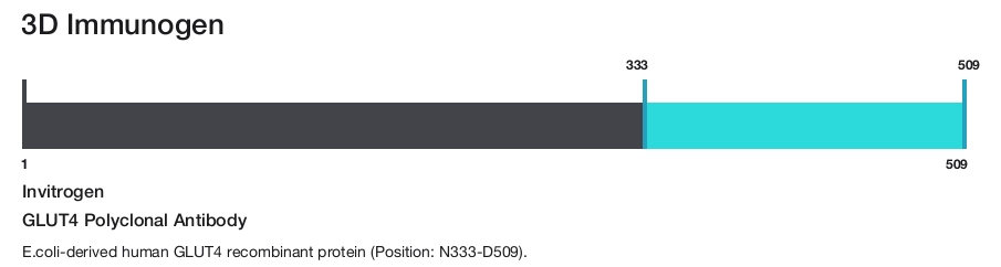 GLUT4 Polyclonal Antibody