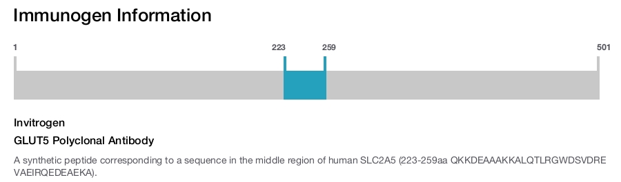 GLUT5 Polyclonal Antibody