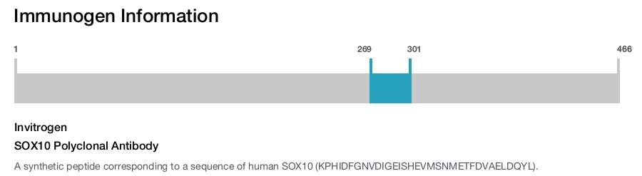 SOX10 Polyclonal Antibody
