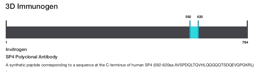 SP4 Polyclonal Antibody