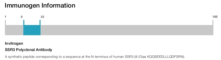 SSR3 Polyclonal Antibody