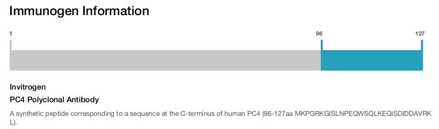 PC4 Polyclonal Antibody