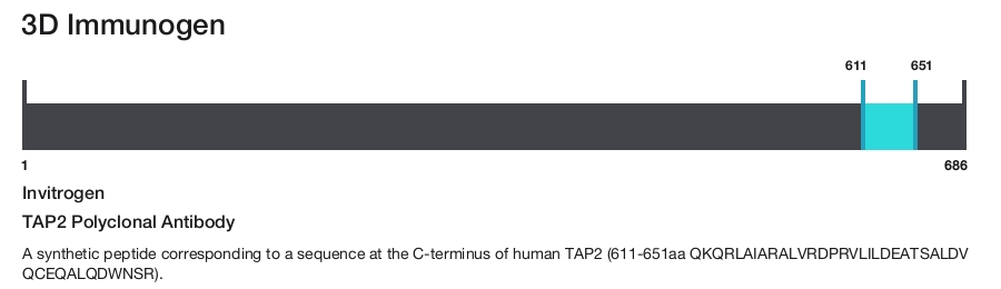 TAP2 Polyclonal Antibody