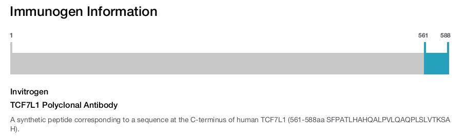 TCF7L1 Polyclonal Antibody