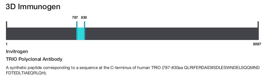 TRIO Polyclonal Antibody