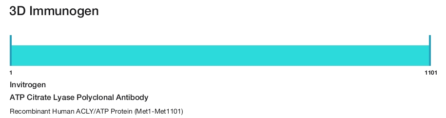 ATP Citrate Lyase Polyclonal Antibody