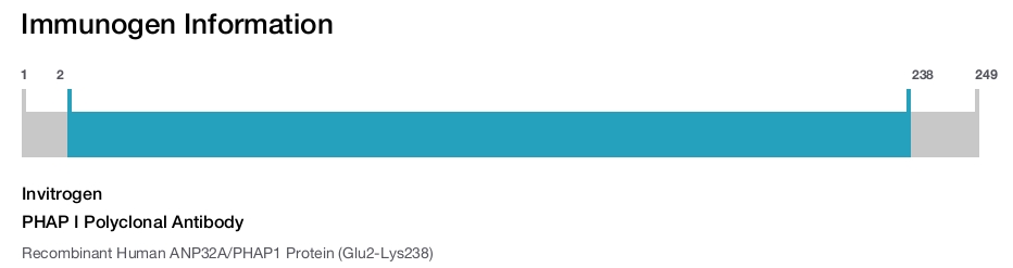 PHAP I Polyclonal Antibody
