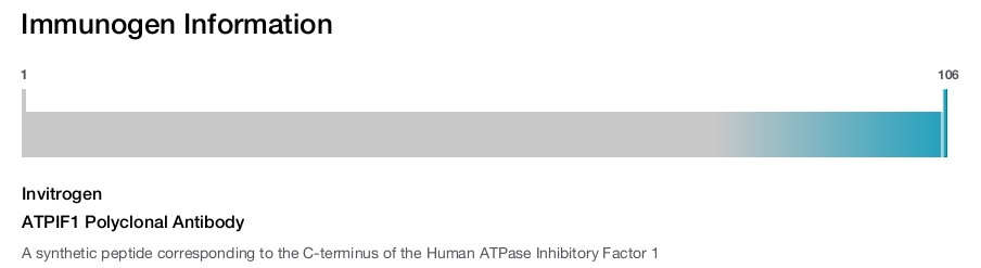 ATPIF1 Polyclonal Antibody