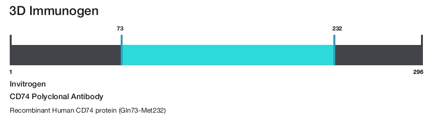 CD74 Polyclonal Antibody