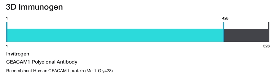 CEACAM1 Polyclonal Antibody