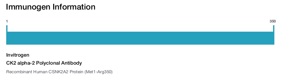 CK2 alpha-2 Polyclonal Antibody