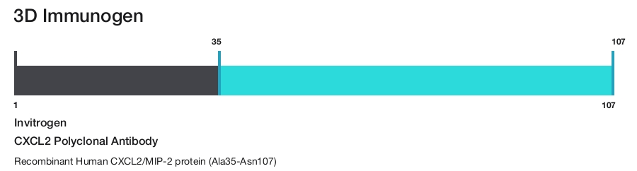 CXCL2 Polyclonal Antibody
