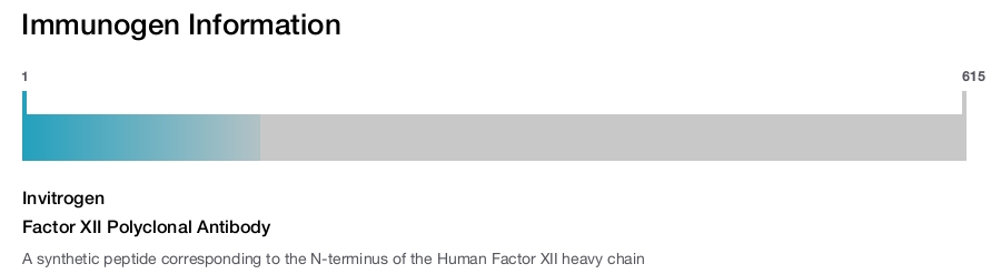 Factor XII Polyclonal Antibody