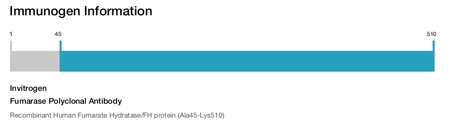 Fumarase Polyclonal Antibody