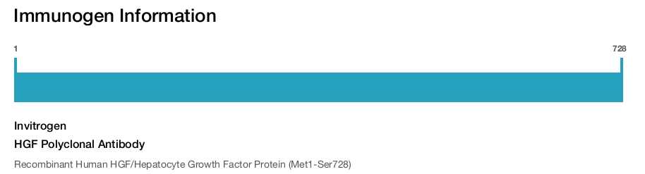 HGF Polyclonal Antibody