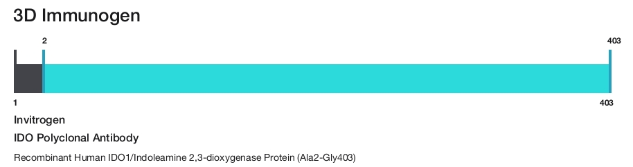 IDO Polyclonal Antibody