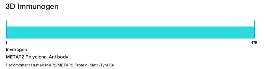 METAP2 Polyclonal Antibody
