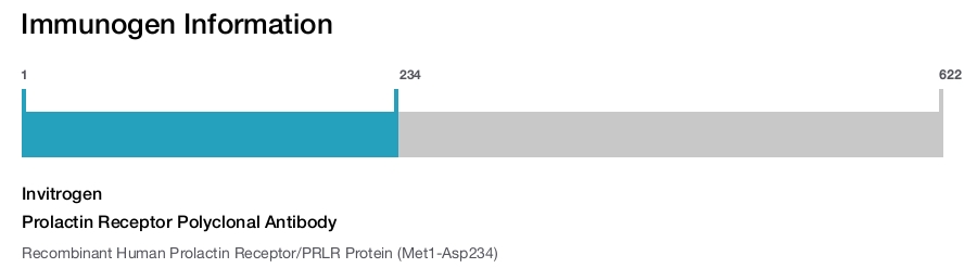 Prolactin Receptor Polyclonal Antibody