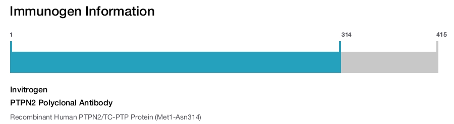 PTPN2 Polyclonal Antibody