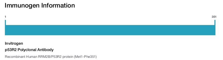 p53R2 Polyclonal Antibody